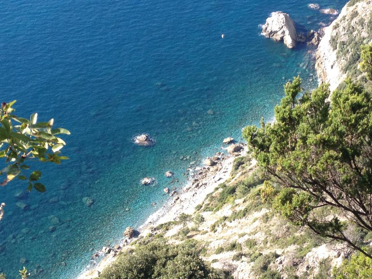 Host In Levanto - Maestrale Con Biciclette Exteriör bild